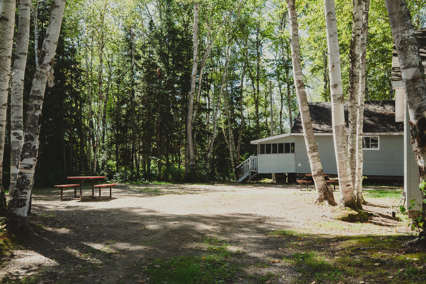 Chalets et emplacements au camping Remigny